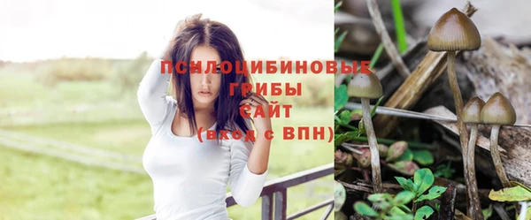 метамфетамин Заводоуковск