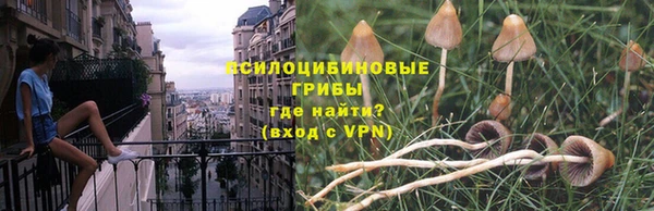 соль ск Заволжье