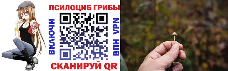 Галлюциногенные грибы Cubensis  закладка  Слободской 