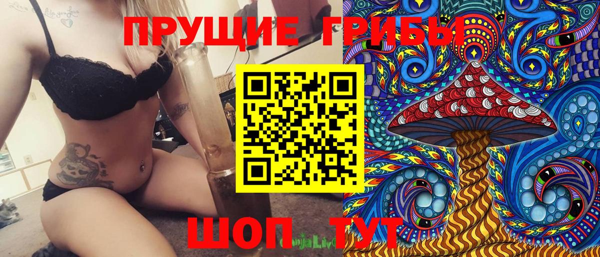 Слободской  Псилоцибиновые грибы прущие грибы  Вход с VPN 